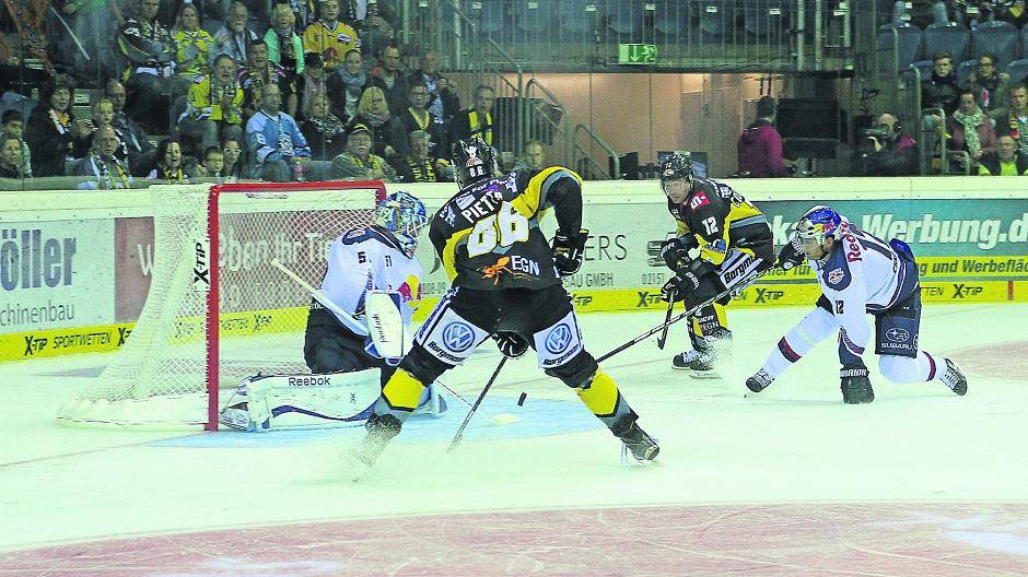 Pinguine: Nur ein gutes Drittel