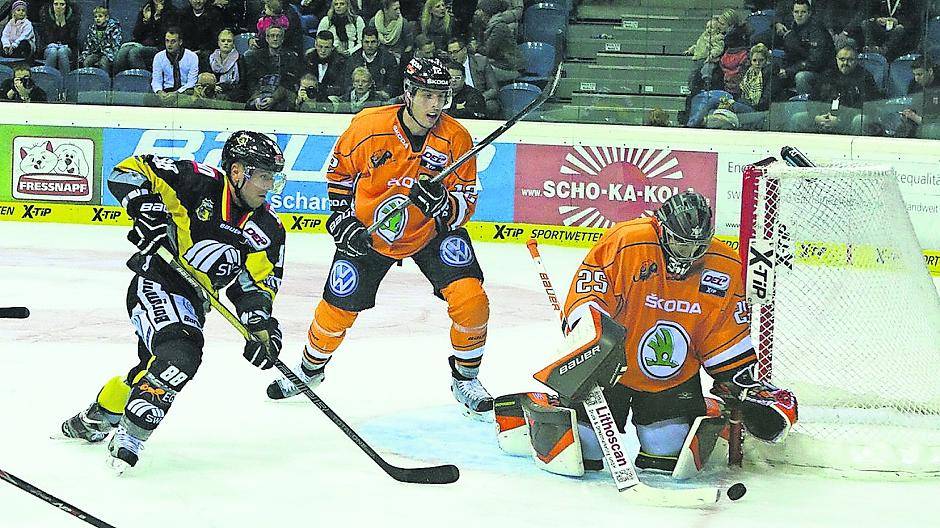 Schwanenjagd auf Eis