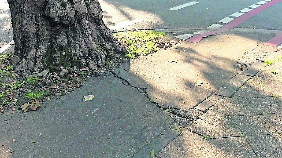 Riss durch Baumwurzeln: Radweg an der Westparkstraße