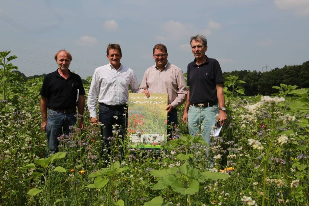  Theo Malschützky (Fachbereich Grünflächen), die Landwirte Georg Dahlhoff und Thomas Vennekel sowie Heino Thies (Fachbereich Grünflächen, von links) stehen in einem Blühstreifen auf einer Ackerparzelle in Hüls.  