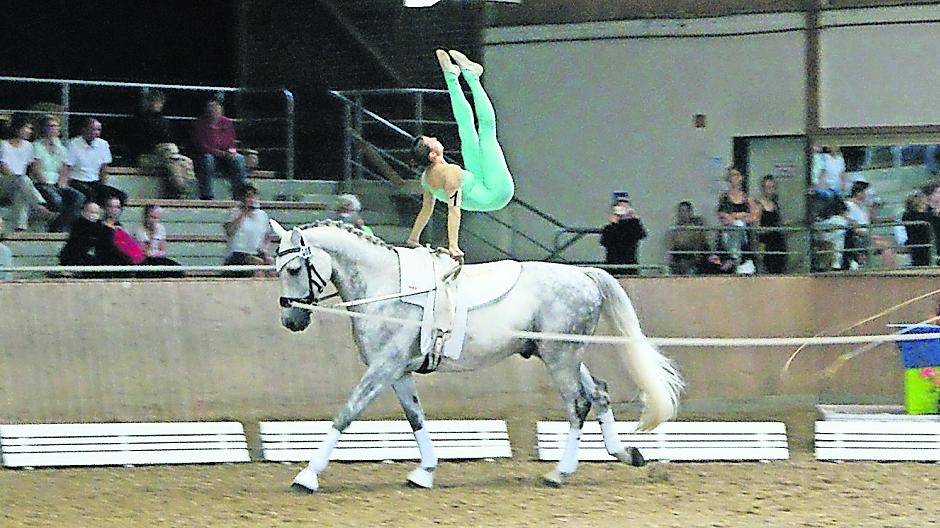 Franziska Hohensee in der Pflicht auf Calculo. Mit ihm holten die Mädels des VZM ihren Titel.