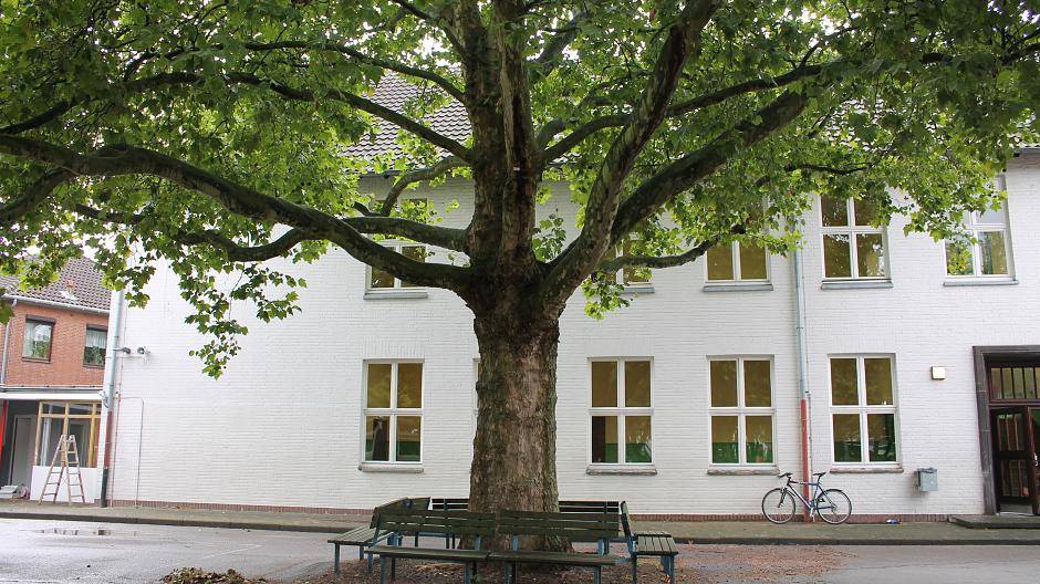 Der Schulhof mit seinen großen Bäumen ist vielen Kempenern noch aus ihrer eigenen...