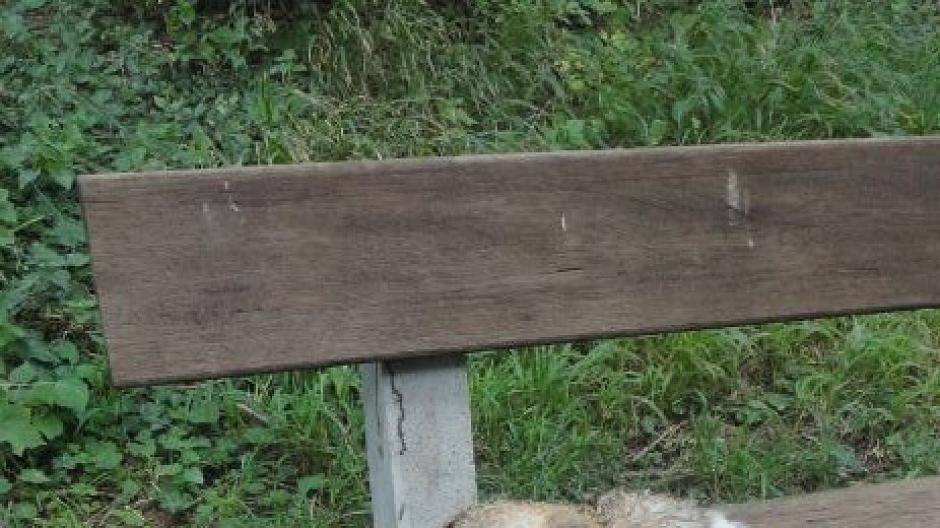  Aktuell finden Meerbuschs Wildhüter zu Tode getriebene Wildtiere auf dem Stadtgebiet. 