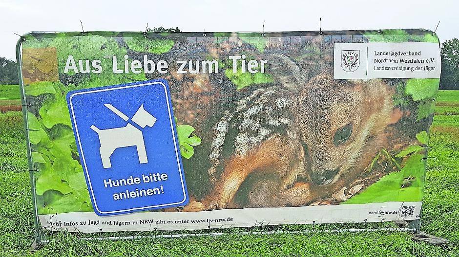  Der Hegering Meerbusch macht daher mit Unterstützung des Landesjagdverbands NRW und drei neuen Hinweistafeln im Stadtgebiet aufmerksam, Wildruhezonen zu meiden und bittet darum, Hunde stets an der Leine zu führen. 