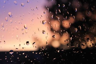 Welche Folgen hat der Klimawandel im Grenzland?