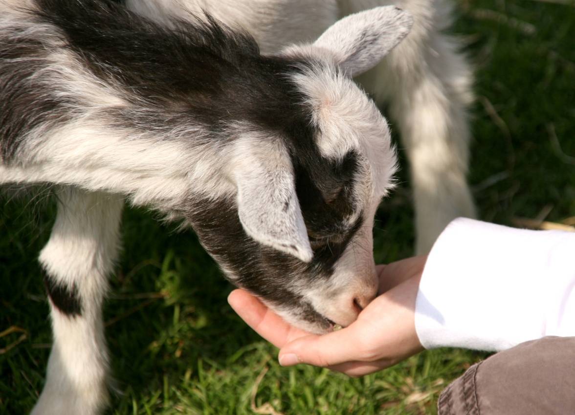 Sehen, erleben und genießen in Kempens "guter Stube"