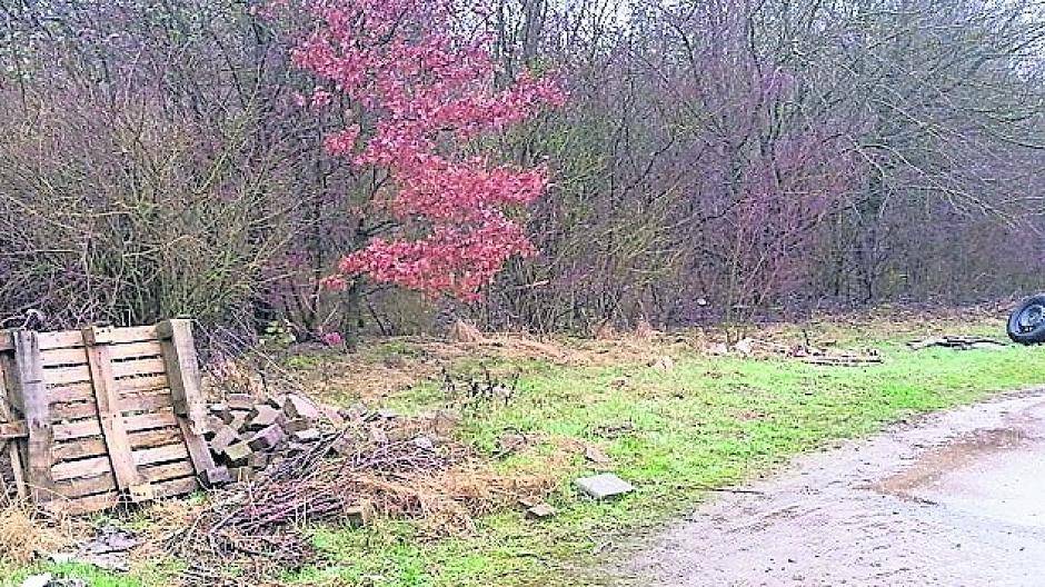 Viel Müll haben Unbekannte am Kollenburger Weg nahe der Osterather Westumgehung entsorgt.