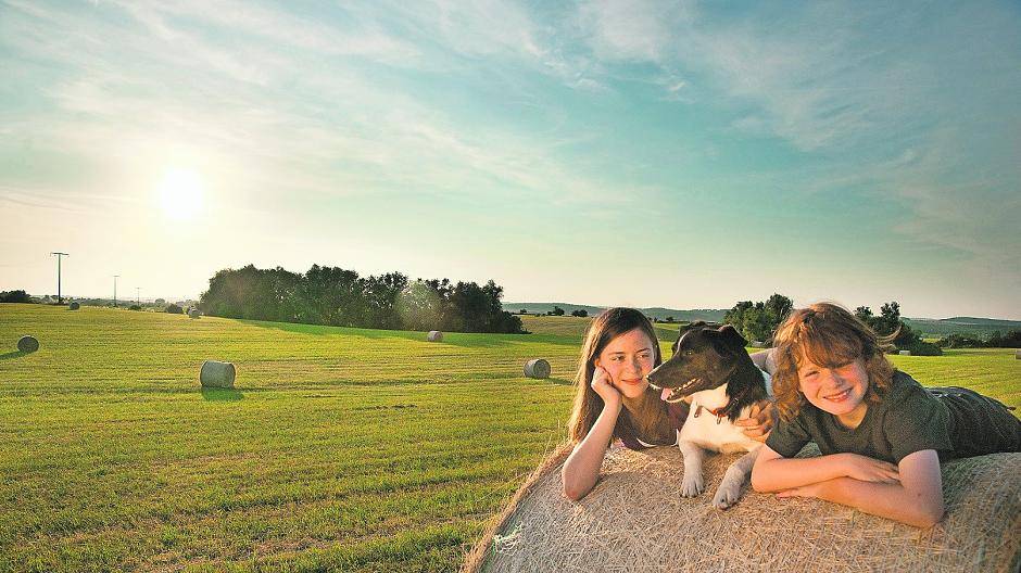 Uckermarker Naturlandschaften erleben