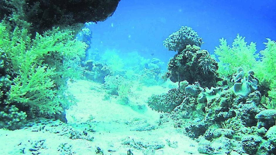  Extra-Tipp Volontärin Gina Dollen (r.) auf ihrer Ägyptenreise im roten Meer. Das Handzeichen heißt übrigens: „Alles super“. 