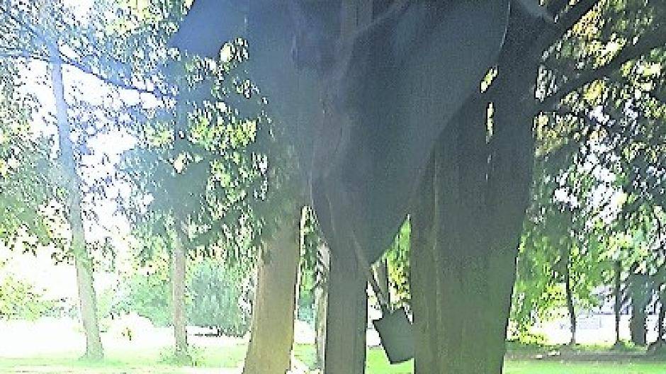  Hein Zimmermann kann die Zerstörung nicht fassen. 