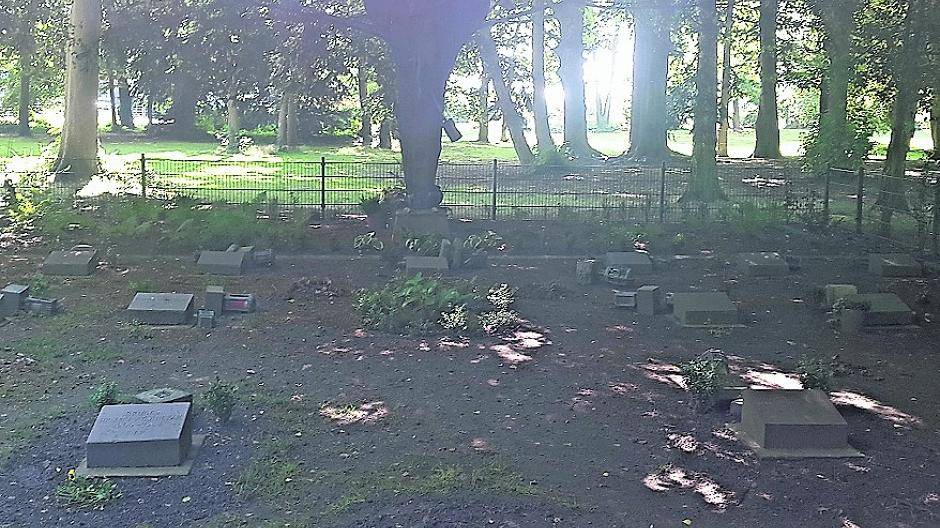 Alle Pflanzen wurden rausgerissen und alle Grablampen von den Grabsteinen gestoßen.