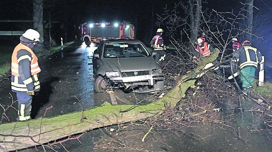 Abgebrochener Ast fällt direkt vor Auto
