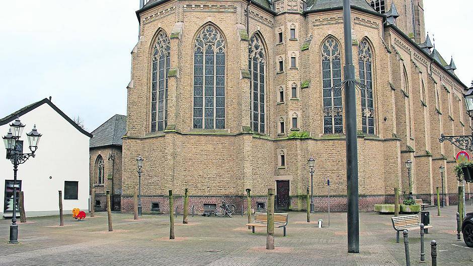 Stadt sägt Kronen der Kugelbäume ab