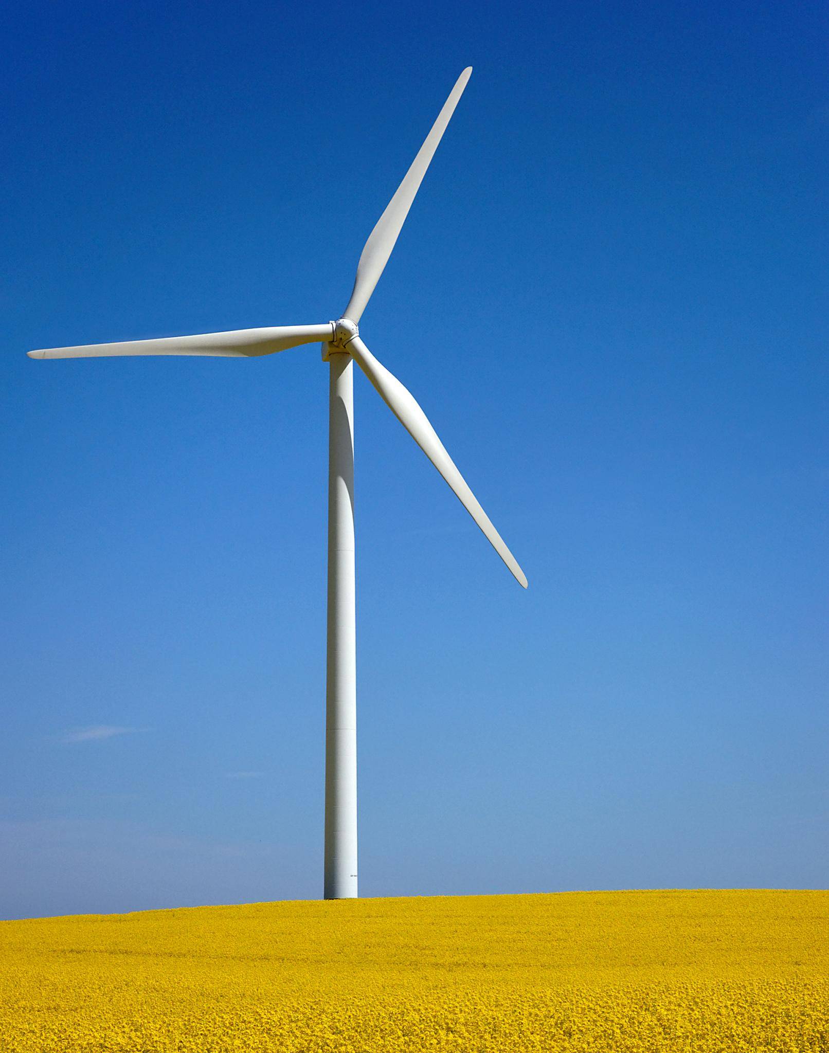  Am Donnerstag informierten sich viele Bürger darüber, wo in Viersen Windräder gebaut werden könnten. 
