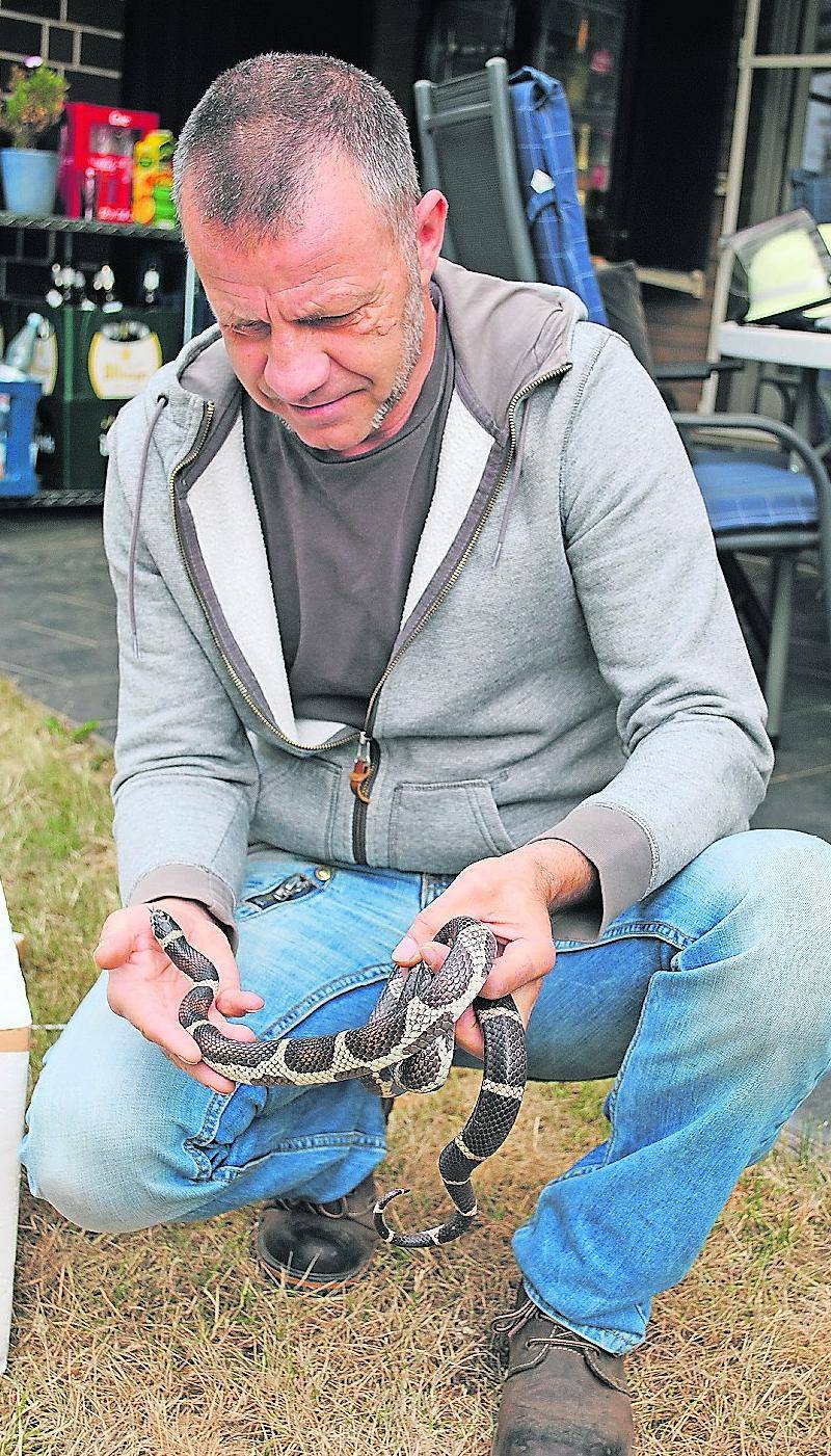  René Liedtke aus Nettetal ist Sachverständiger für Reptilien und rückt aus, wenn im Kreis Viersen Schlangen oder andere Reptilien gesehen werden. 