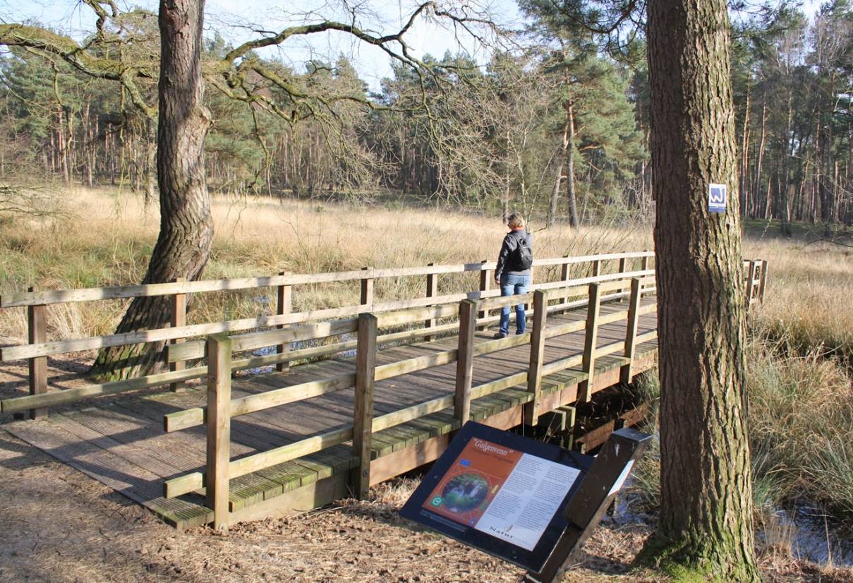 Mit uns auf Wanderschaft