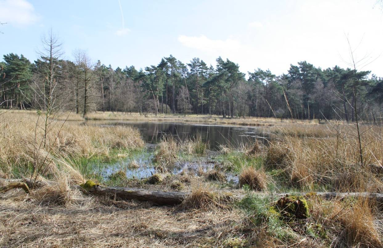 Mit uns auf Wanderschaft