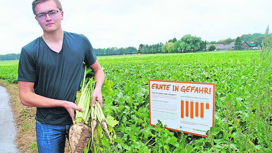 Markus Fitzen zeigt’s: Links die Rübe, die auf dem Feld mit Pflanzenschutzmitteln gezogen wurde, rechts die beiden Rüben, die ohne Zusatzstoffe geerntet wurden.