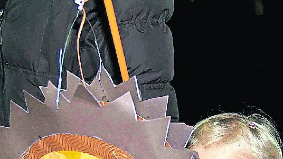  Strahlende Kinderaugen und bunte Laternen - das macht die St. Martinszüge aus. Doch die Zukunft der Züge ist ungewiss. 