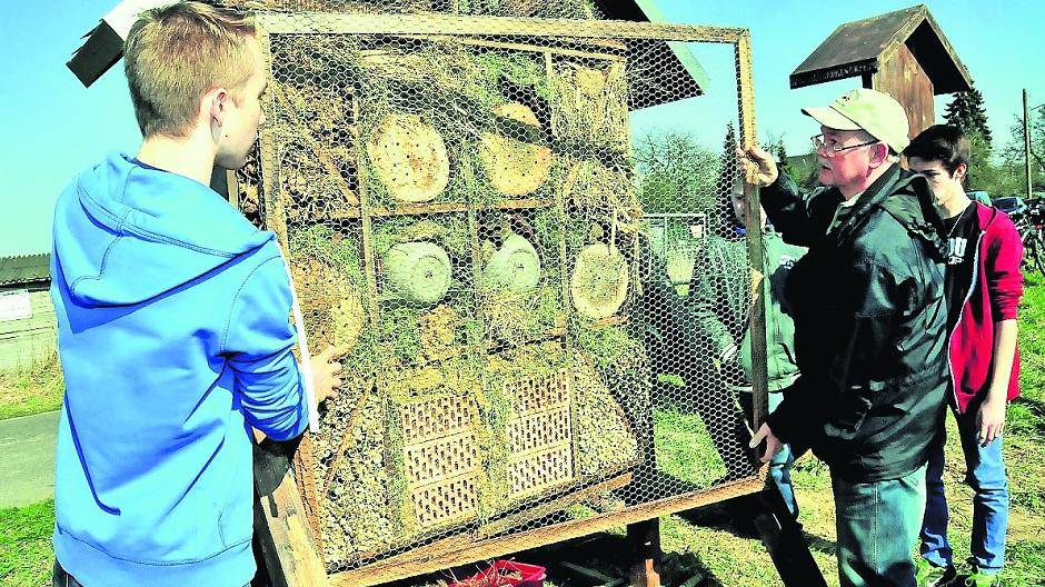 Schüler und Unterstützer stellten gemeinsam das Insektenhotel auf.