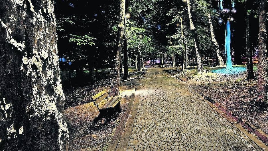 Beinahe wie im Märchen: Raffinierte Beleuchtung im Loher Wäldchen in Lüdenscheid. Kann man sich so ähnlich auch den Ingenhovenpark in Lobberich vorstellen?