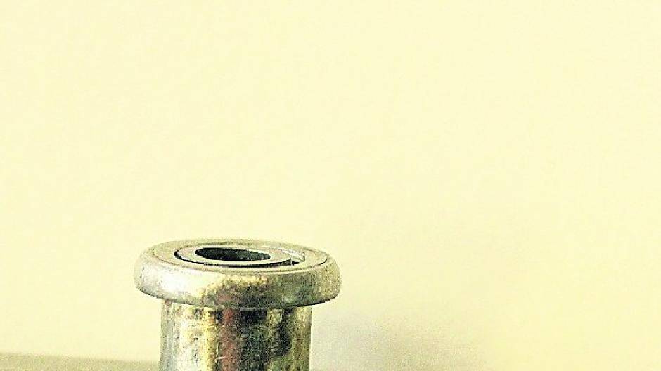 Die Polizei und der Pilzkopf