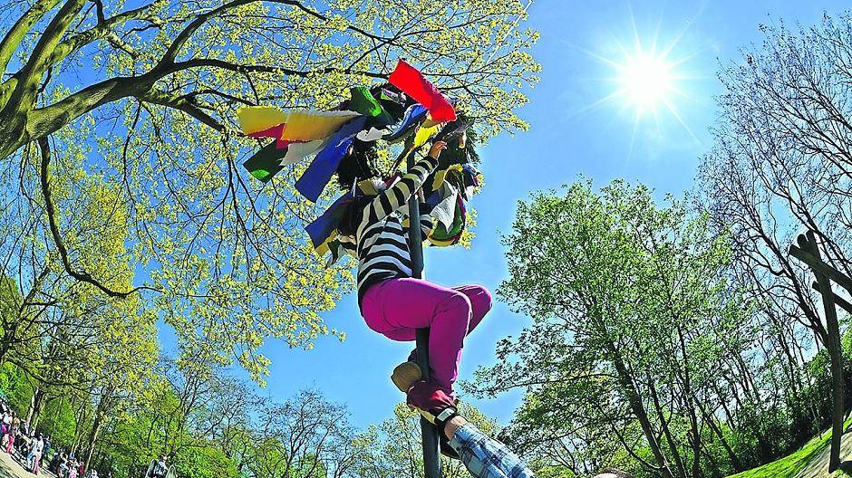 Immer der Sonne entgegen