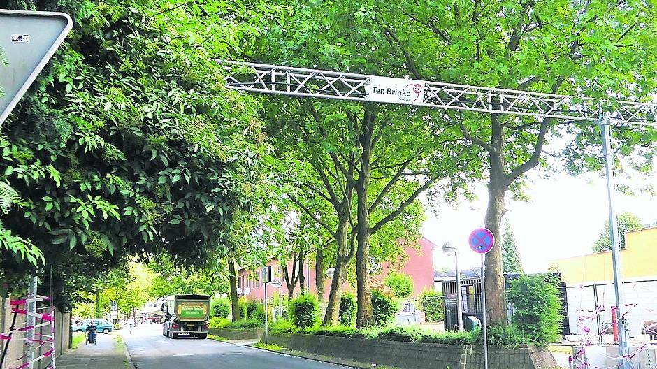 Eigentlich ein angenehmer Anblick, doch auf der rechten Seite wird es für Fußgänger eng. Deshalb sollen die Platanen gefällt und durch kleinere Bäume ersetzt werden.