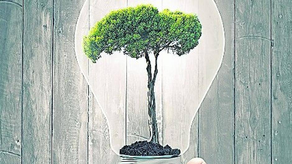 Earth Hour - Licht für die Umwelt