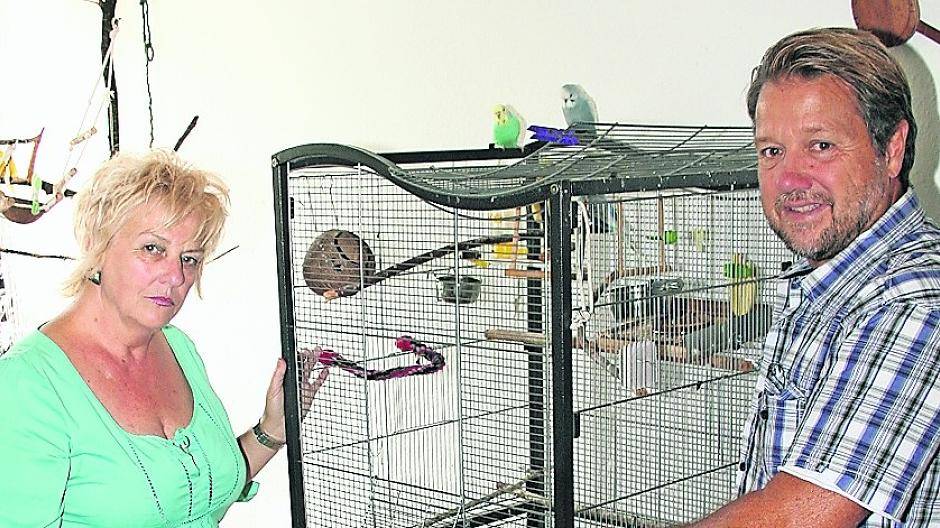 Wer hat Eos gestohlen?