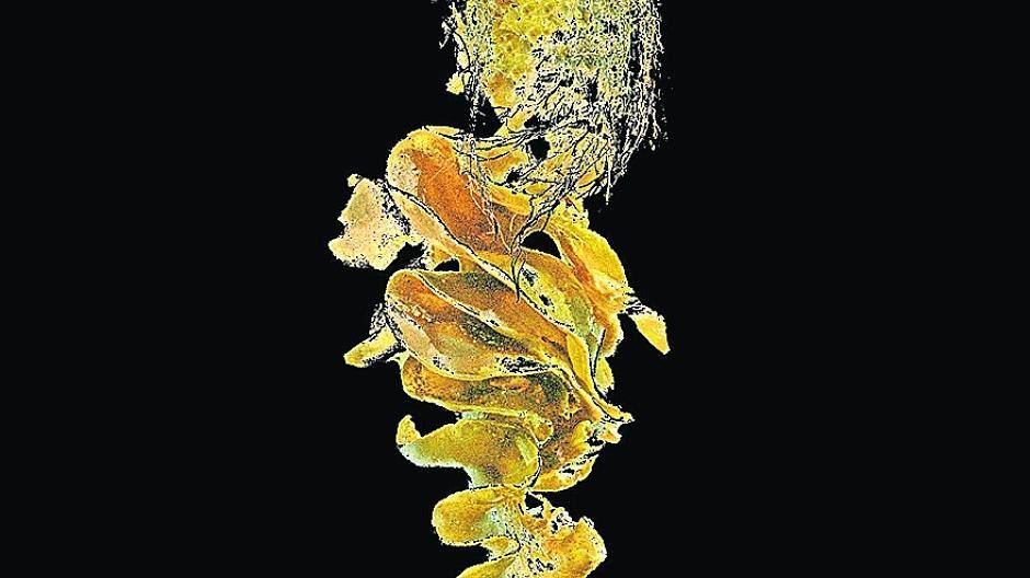 „Der besondere Blick“