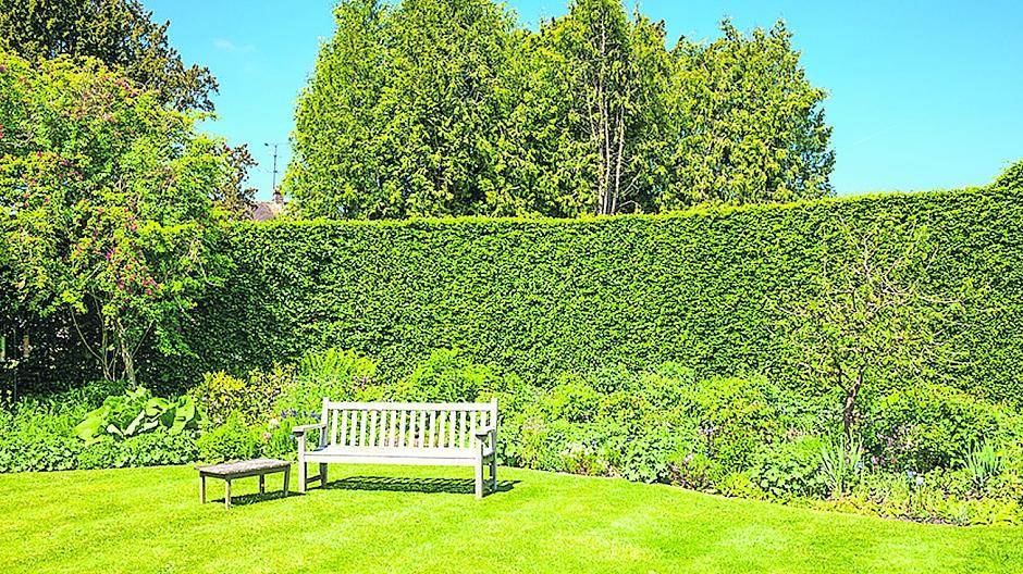 Fremde Gärten können schön sein. Beim Tag der offenen Gartenpforte kann man Einblicke in fremde Gärten bekommen. Wer seinen Garten präsentieren möchte, kann sich bis zum 15. Februar dazu anmelden.
