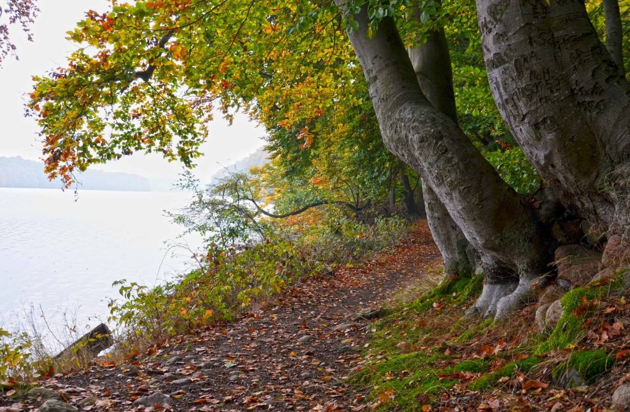 Wo die Sonne die Eiszeit vertrieb