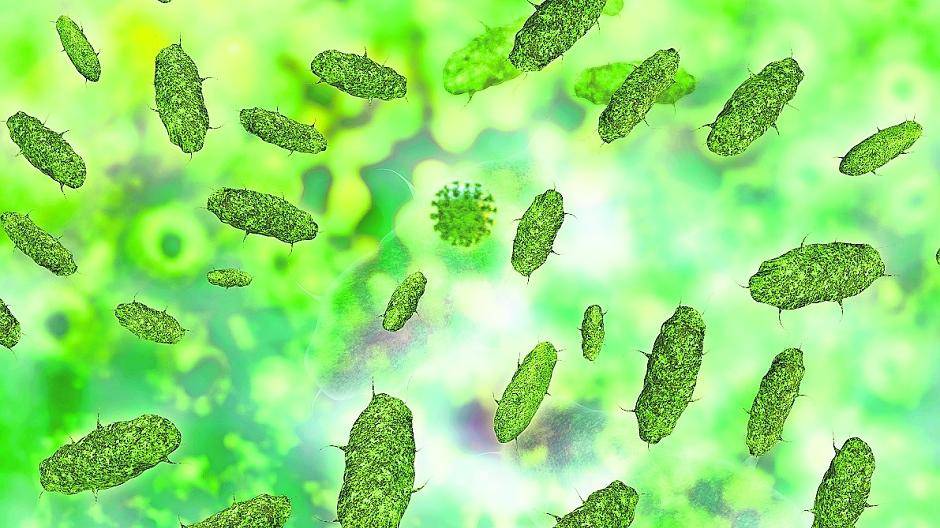 Auch wenn man es nicht glauben mag, aber die Bedrohung durch Viren oder resistente Bakterien ist hoch.