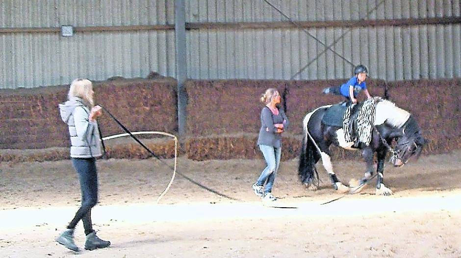 Auch das Voltigieren und der Umgang mit Pferden gehört zu den Projektwochen des Tabaluga-Kindergartens.