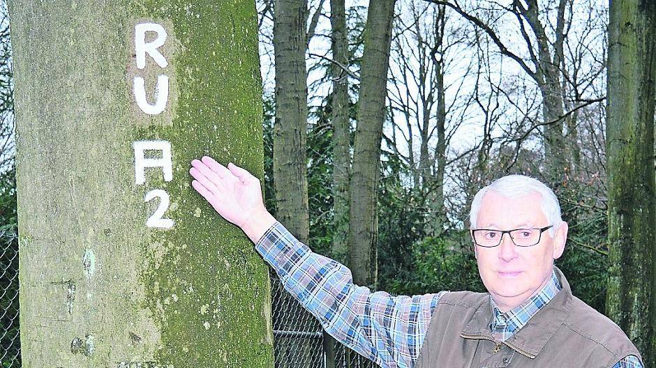  Wege-Scout Wilfried Schröder weiß, was die Zeichen an den Bäumen zu bedeuten haben. Jedes Wochenende unternimmt er ausgiebige Erkundungsgänge durch die Region.  