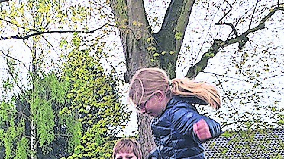 Mit viel Elan und Spaß arbeiten die Kinder der Eichendorfschule an ihrem Traumschulhof-Projekt.