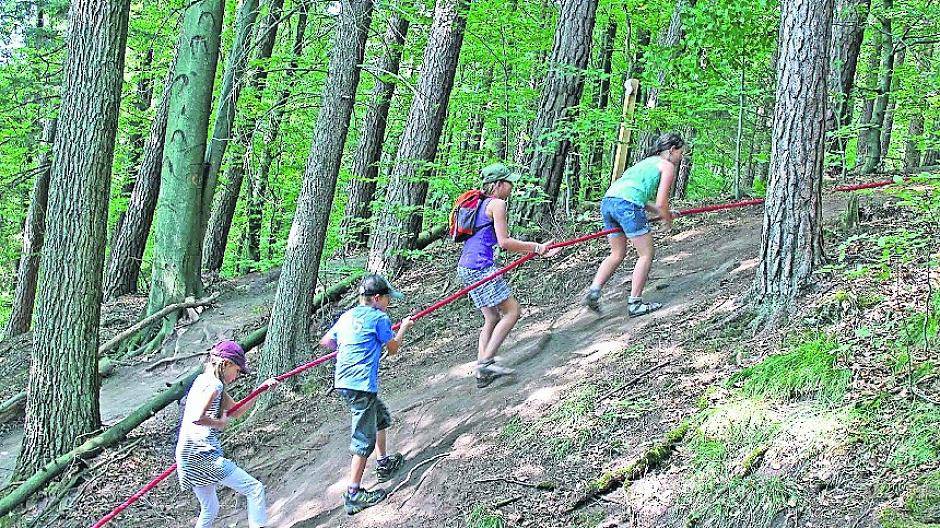Ein Wanderurlaub mit der Familie macht großen Spaß — vorausgesetzt die Touren gefallen sowohl dem Nachwuchs als auch den Erwachsenen.