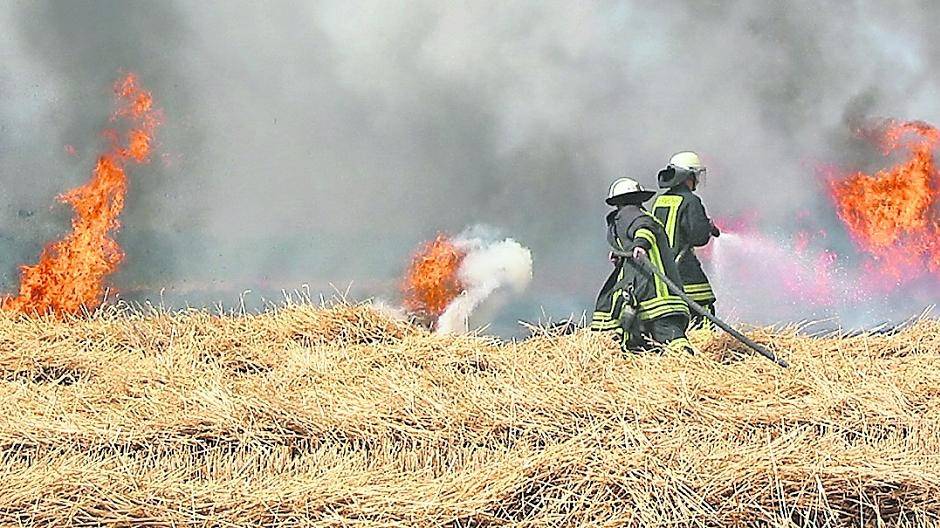 Feuerwehr warnt vor Waldbrandgefahr