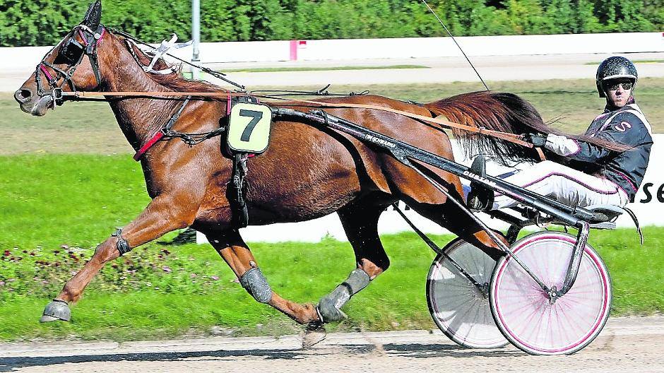 Amateursport im Mittelpunkt