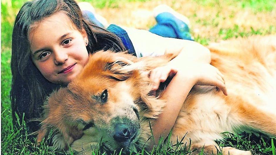 Zecken können gefährliche Krankheiten auf das geliebte Haustier übertragen.