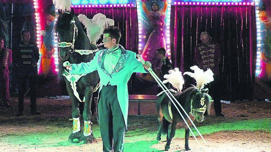 Mini und Maxi — eine der Dressurnummern.