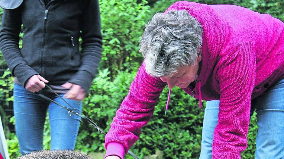 Otto frisst auch aus der Hand