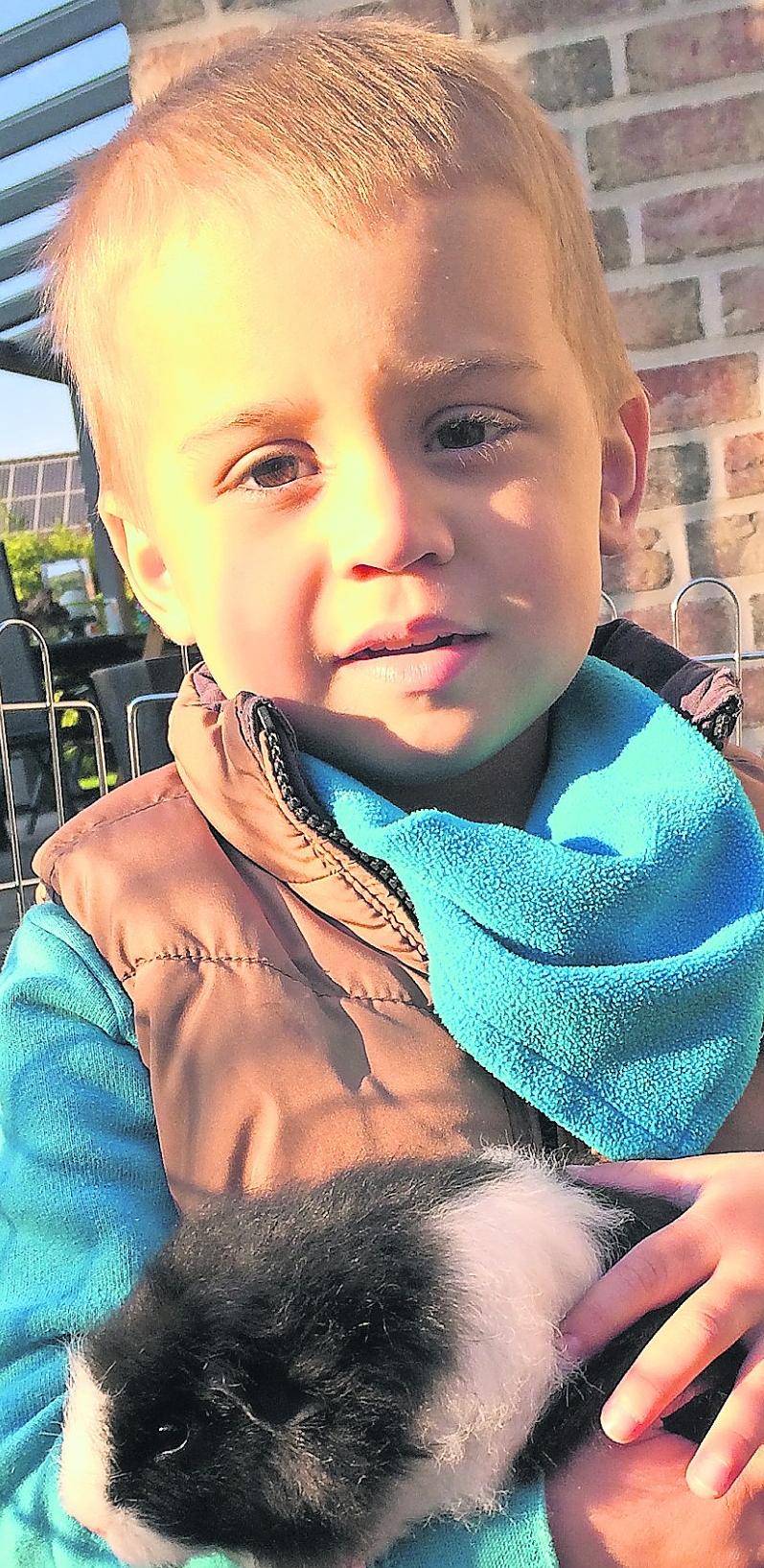  Henry aus Nettetal ist wieder gesund. 