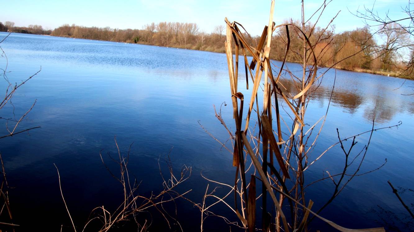  Auch ein schöner Ort, um in Gedanken vom Höcksken aufs Stöcksken zu kommen: Blick auf den De Witt See. 