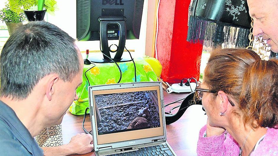 Turmfalken im Schmuckladen