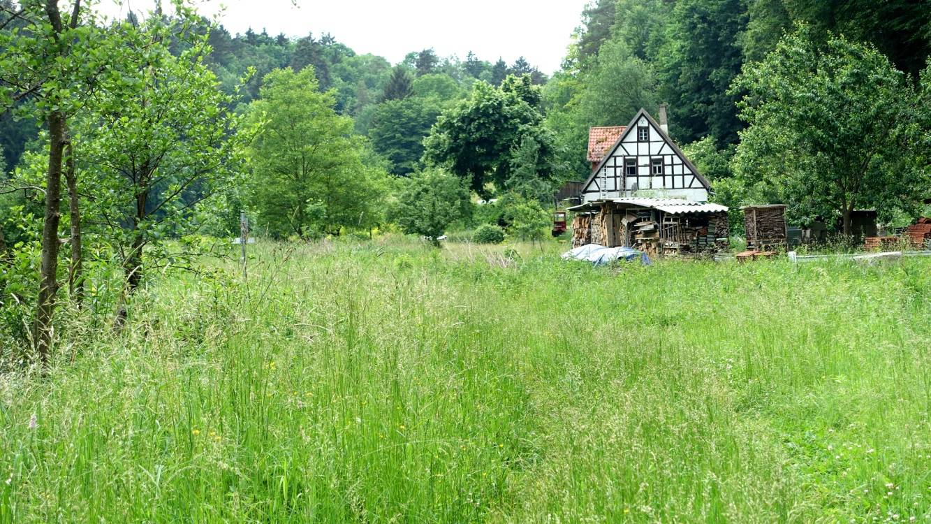  Die pure Idylle, direkt unter dem Schloss Plankenfels. 