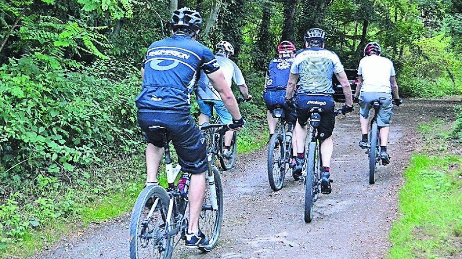 Diese Mountainbiker verhalten sich richtig im Naturpark. Sie nutzen die Wege und verhalten sich rücksichtsvoll.