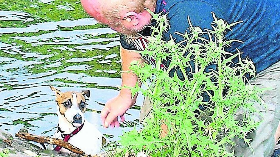  Hund Olli mit seinem Herrchen am Kaiserweiher. 