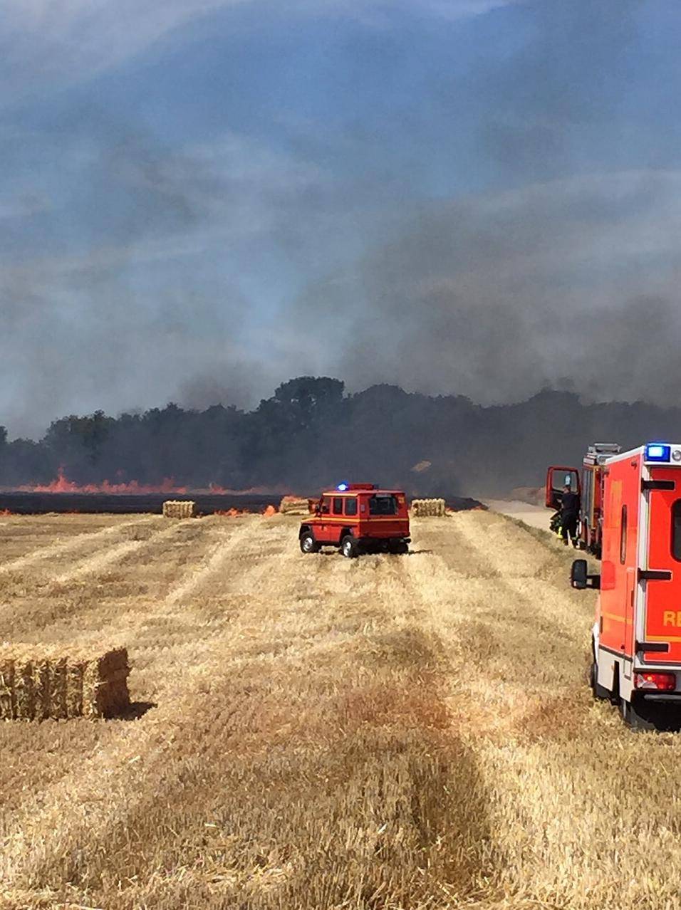 Bockerter Feld brennt